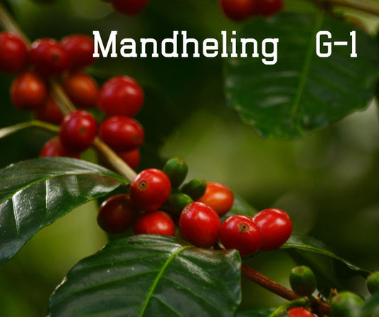Mandheling G-1